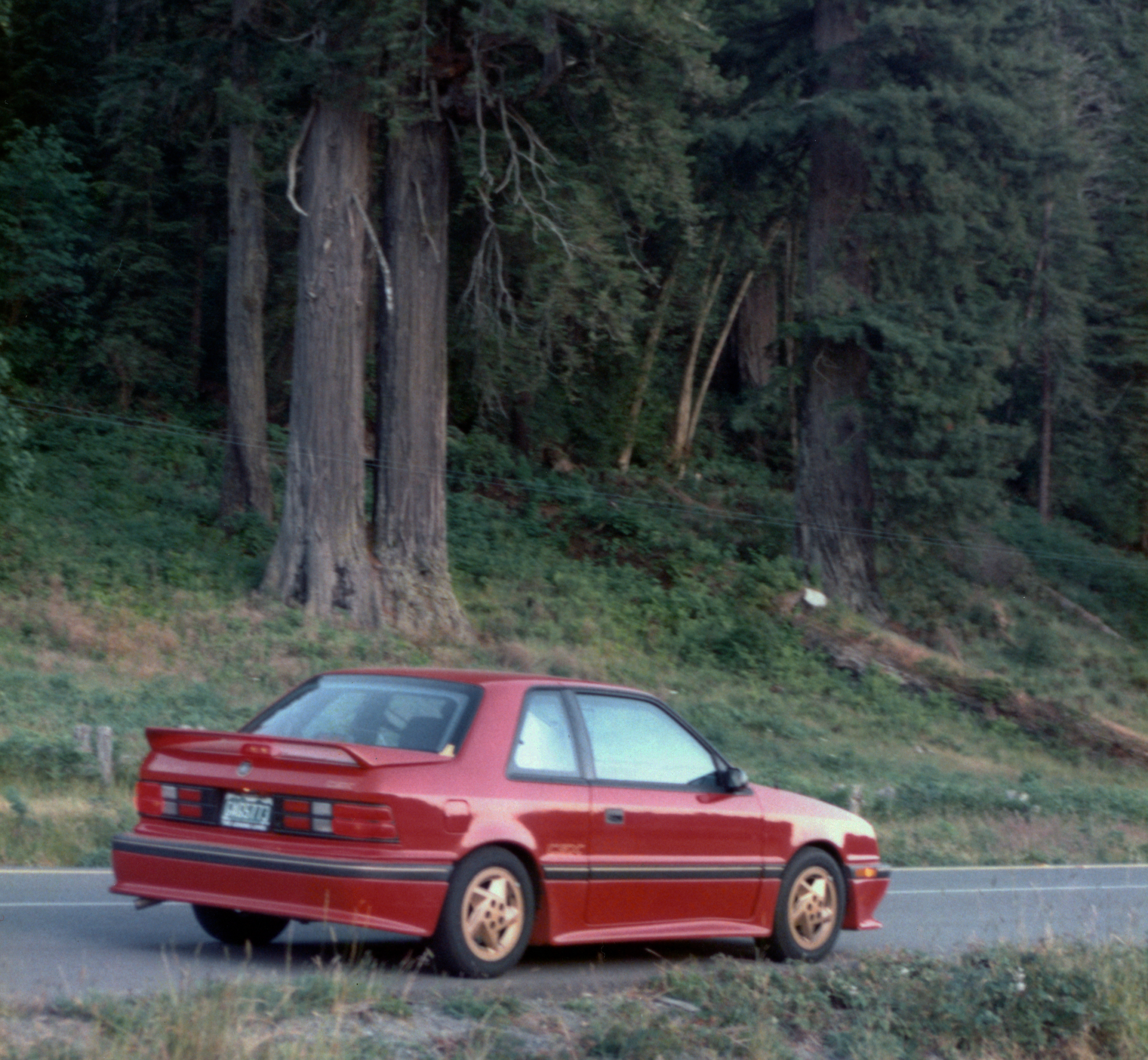 1989 Dodge Shadow CSX Redwood Forest