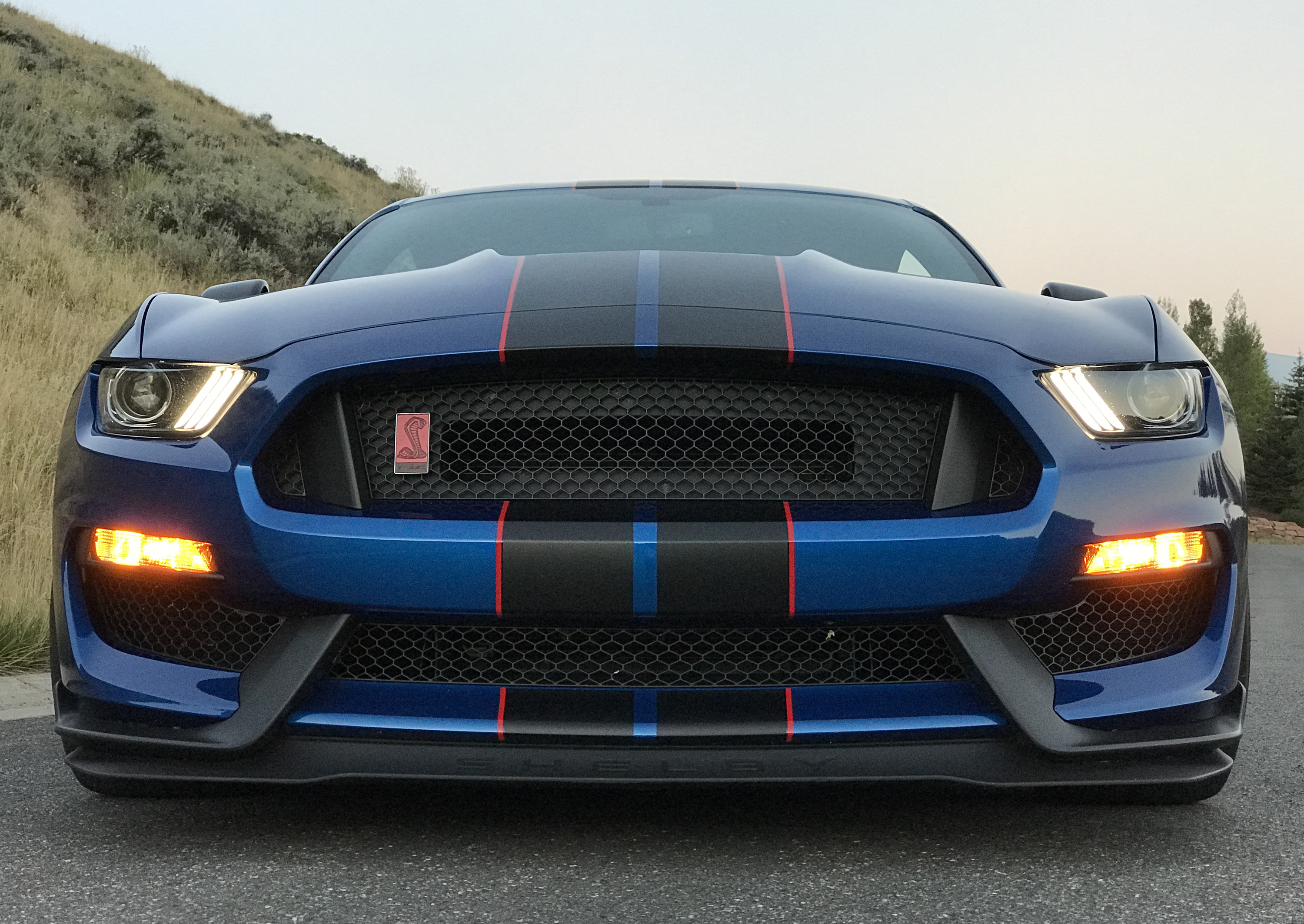 2017 Ford Mustang Shelby GT350R Grille